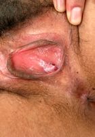 ATK Archives: Lola (Lola in)