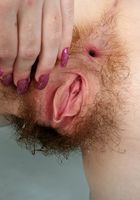 ATK Archives: Lola (Lola in)