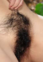 ATK Archives: Lola (Lola in)