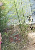 ATK Petites: Lola Foxx (Behind the scenes of a Chloe Lynn & Lola Foxx girl on girl photo shoot)