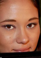 ATK Exotics: Lorraine (Lorraine in asians)