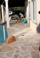 ATK Petites: Lou Charmelle (Lou Charmelle in solo)