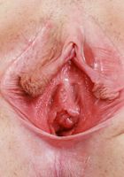 Lucy Foxx from ATK Galleria