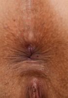 ATK Exotics: Luna Leve (Luna Leve in latinas)