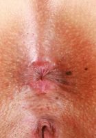 Luxe La Fox from ATK Exotics