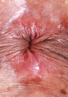 ATK Exotics: Luxe La Fox (Luxe La Fox shows her perfect camel toe before getting naked.)