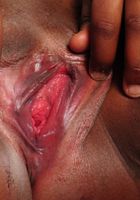 ATK Exotics: Macey (Ebony Macey gets off)