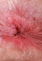 Mackenzie Mace from ATK Petites