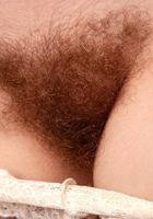 ATK Archives: Mahonia (Mahonia in coeds)