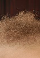 ATK Archives: Mary (Mary in amateur)