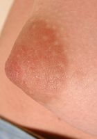 ATK Petites: Maria (Maria in latinas)