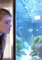 ATK Petites: Marianna (Marianna in behind the scenes)