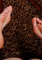 ATK Galleria: Mary Jane Mayhem (sexy MaryJane Mayhem shows off her petite feet and nice sexy ass)