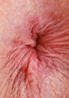 ATK Petites: Maria Kazi (Maria Kazi Dress Stripping)