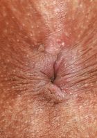 ATK Exotics: Maya Farrell (Maya Farrell Outdoor Nudity)