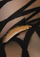 ATK Archives: Meena (Naughty coed babe Meena teases in her lingerie)