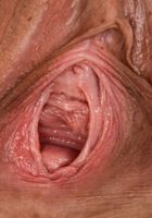 ATK Exotics: Megan Blake (Megan Blake in asians)