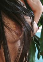 ATK Petites: Meiko (Meiko in asians)