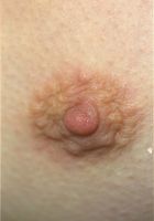 ATK Archives: Melody (Melody in upskirts and panties)