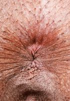 ATK Exotics: Melanie Muse (Melanie Muse wants to workout with you)