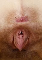 ATK Petites: Mercy West (Mercy West in young and hairy)