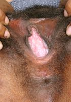 ATK Exotics: Miltie (Miltie in black women)