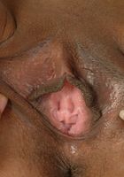 ATK Petites: Miranda (Miranda in latinas)