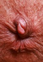 ATK Exotics: Mira Luv (Mira Luv Bikini Strip and Spread)