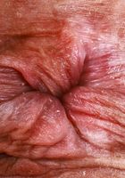 ATK Exotics: Mochi Mona (Mochi Mona likes her hair pulled)