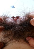 ATK Exotics: Nancy (Nancy in asians)