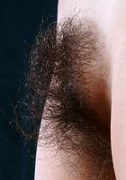 ATK Exotics: Nancy (Nancy in asians)