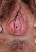 ATK Natural & Hairy: Nenetl Avril (Nenetl Avril in young and hairy)