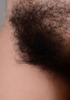 ATK Natural & Hairy: Nenetl Avril (Nenetl Avril in exotic and hairy)