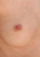 ATK Premium: Nevaeh (Nevaeh in solo)