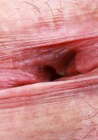 ATK Galleria: Nicole Nichols (Nicole Nichols' hungry cunt needs some attention.)