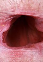 ATK Galleria: Nicole Nichols (Nicole gets out of her bra and panties.)