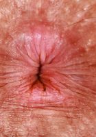 ATK Exotics: Nicole Luva (Nico Luva is dressed for sex)