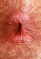 ATK Exotics: Nicole Luva (Nico Luva invites you to come a little closer)