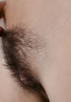 Nikki Daniels from ATK Natural & Hairy