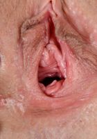 ATK Exotics: Nikki Next (Nikki Next detonates your hard penis with her perfect gaping vagina.)