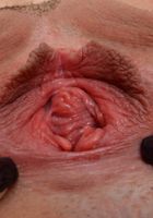 Nikki Next from ATK Exotics