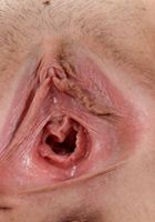 ATK Galleria: Nikki White (Nikki White in lingerie)