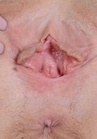 ATK Galleria: Nikki Simmons (Nikki Simmons in lingerie)