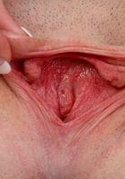 ATK Petites: Nina Nirvana (Nina peels off her pretty panties and spreads her pink pussy wide)