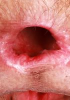 ATK Exotics: Nina Nova (Nina Nova in latinas)