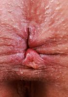 ATK Exotics: Nina Nova (Nina Nova caught you checking her out)