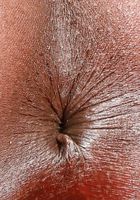 ATK Exotics: Noemie Bilas (Noemie Bilas in amateur)