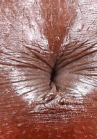 ATK Exotics: Noemie Bilas (Noemie Bilas in amateur)