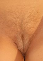 ATK Archives: Nourse (Nourse in)