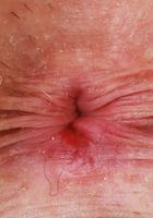 ATK Galleria: Nova Vixen (Nova Vixen Hot Stripping)